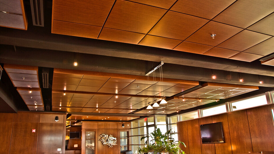 Rockfon Planostile Lay In Metal Panel Ceiling System