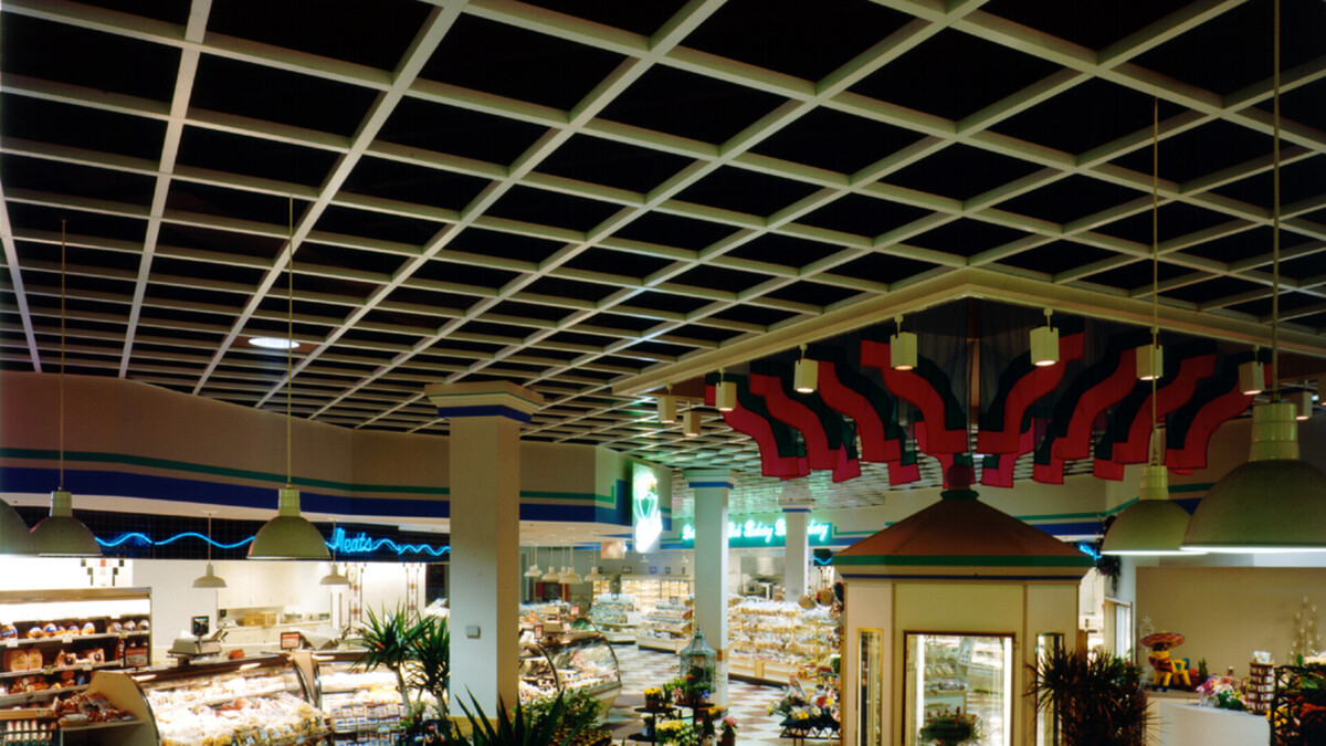 Rockfon Beamgrid Open Plenum Ceiling System